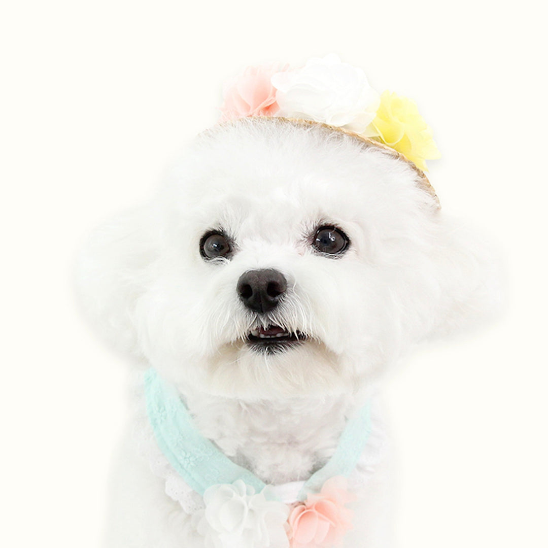 ※予約販売【ITS DOG】Flower Sherbet Straw Hat