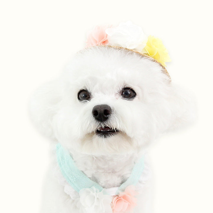 ※予約販売【ITS DOG】Flower Sherbet Straw Hat