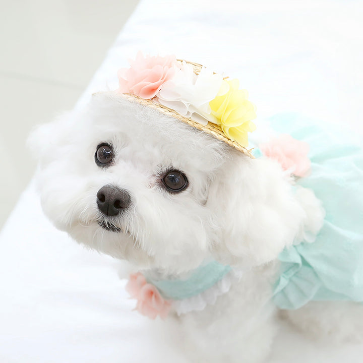 ※予約販売【ITS DOG】Flower Sherbet Straw Hat