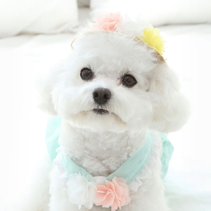 ※予約販売【ITS DOG】Flower Sherbet Straw Hat