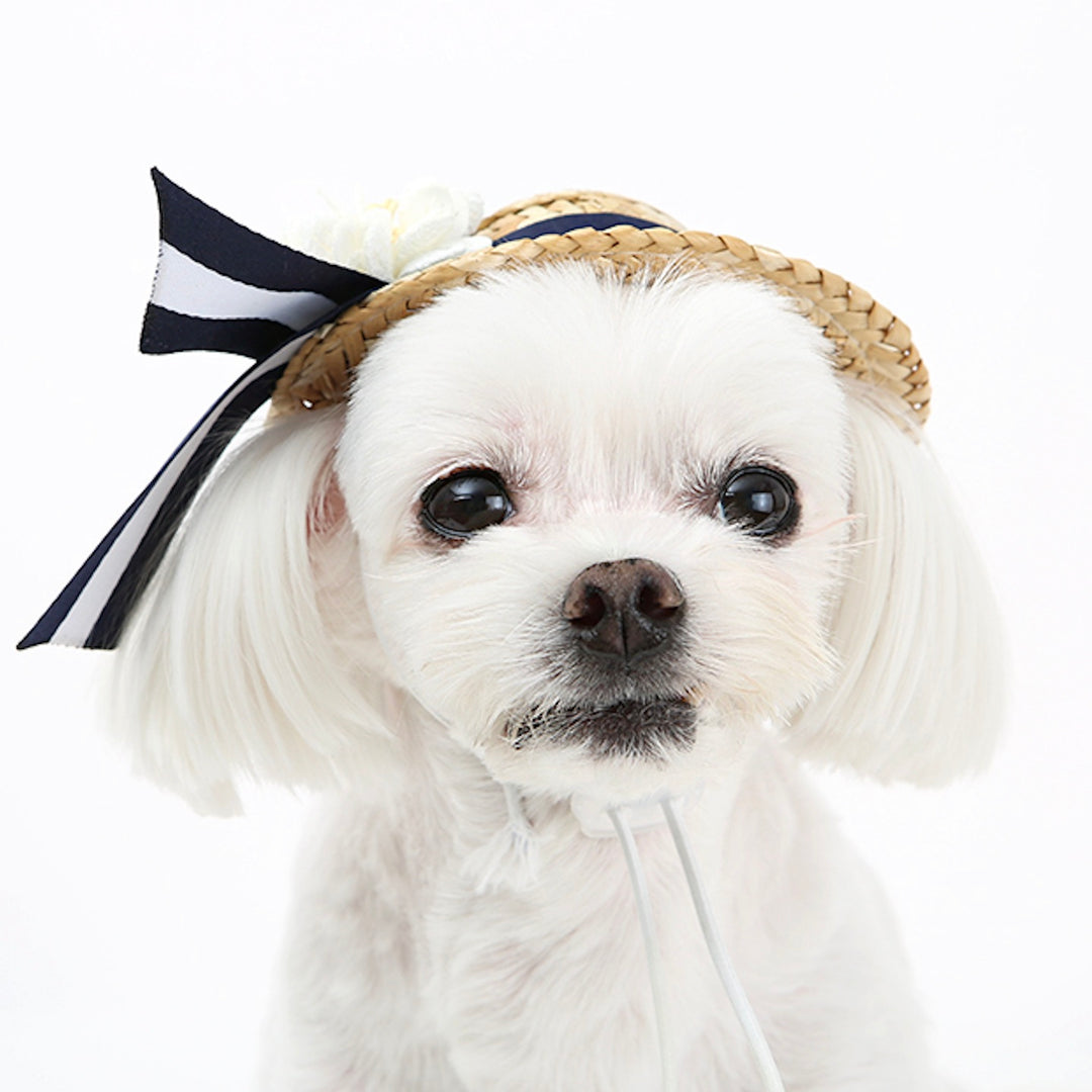 ※予約販売【ITS DOG】Heidi Straw Hat