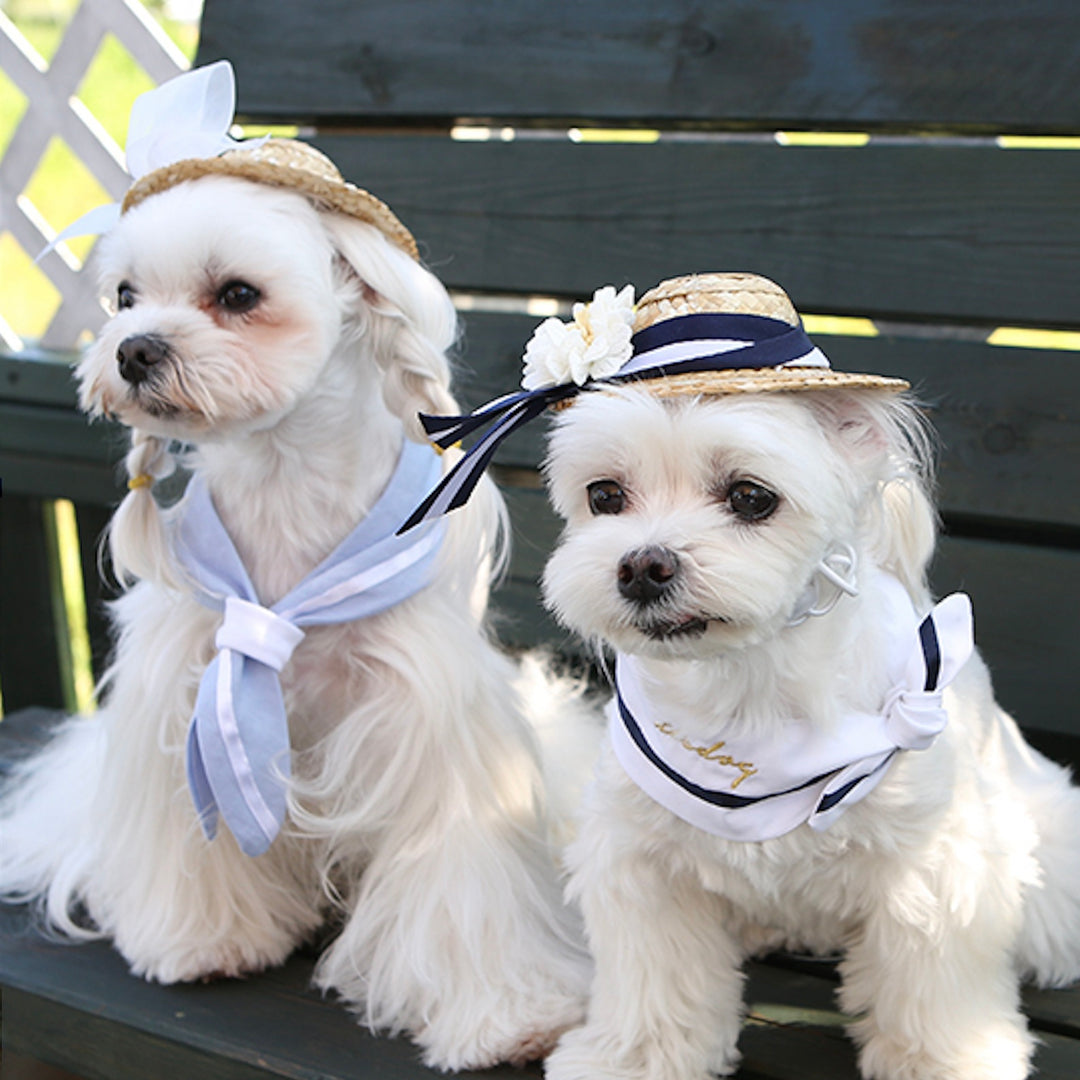 ※予約販売【ITS DOG】Heidi Straw Hat