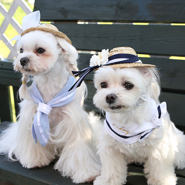 ※予約販売【ITS DOG】Heidi Straw Hat