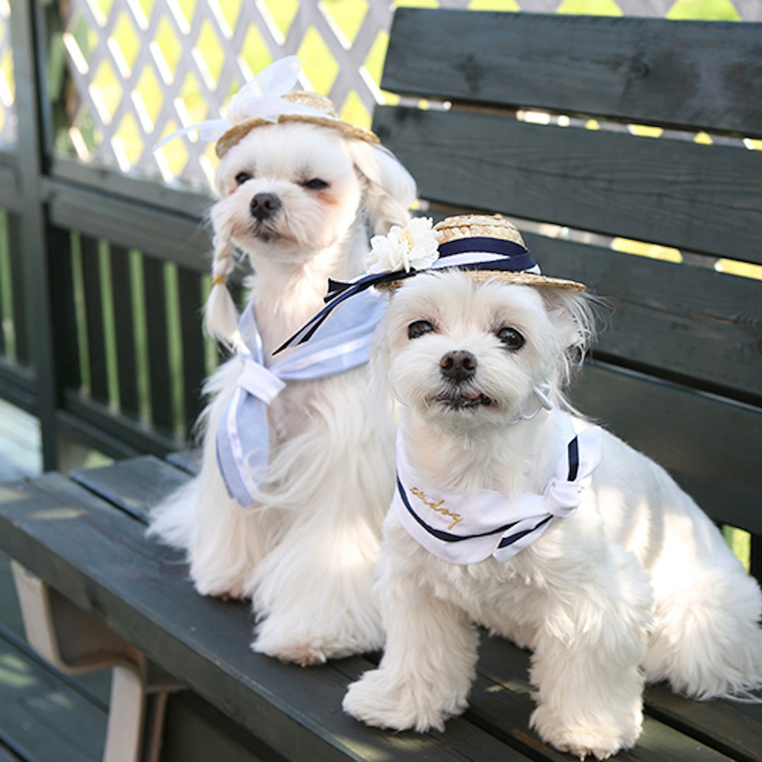 ※予約販売【ITS DOG】Heidi Straw Hat