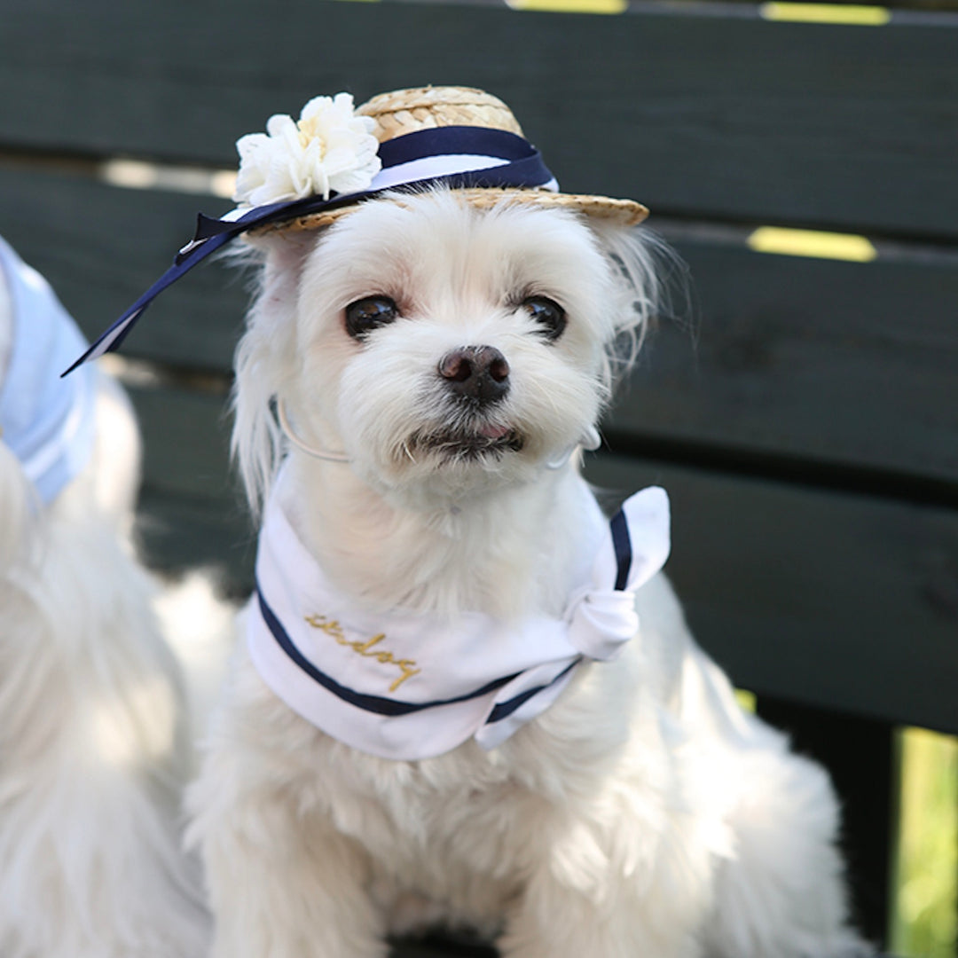 ※予約販売【ITS DOG】Heidi Straw Hat