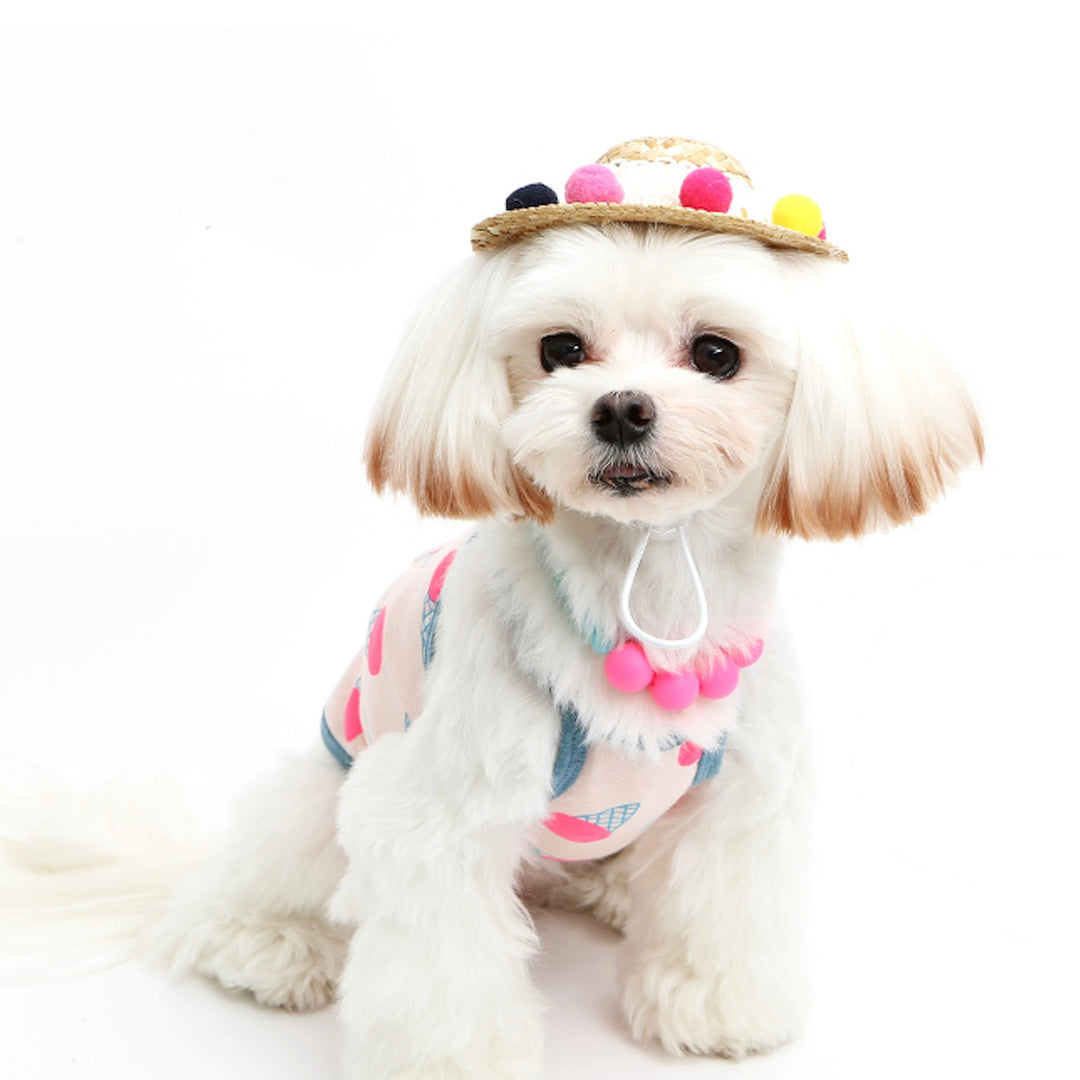 ※予約販売【ITS DOG】Jelly Bean Straw Hat