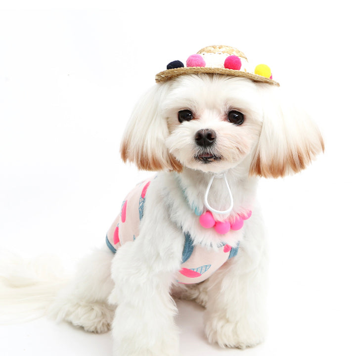 ※予約販売【ITS DOG】Jelly Bean Straw Hat