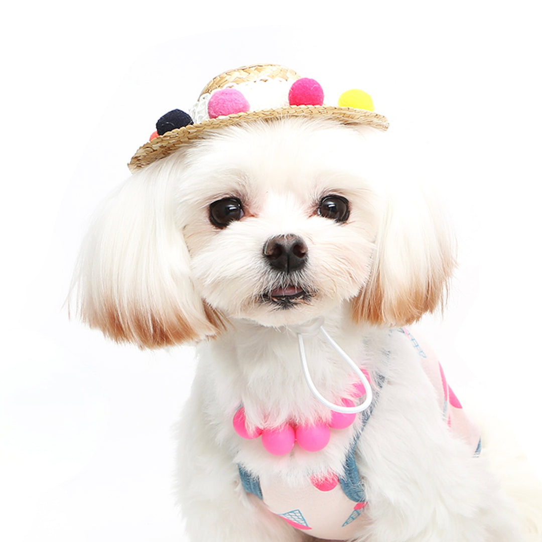 ※予約販売【ITS DOG】Jelly Bean Straw Hat