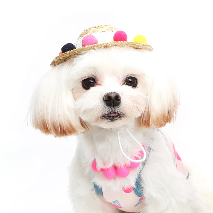 ※予約販売【ITS DOG】Jelly Bean Straw Hat