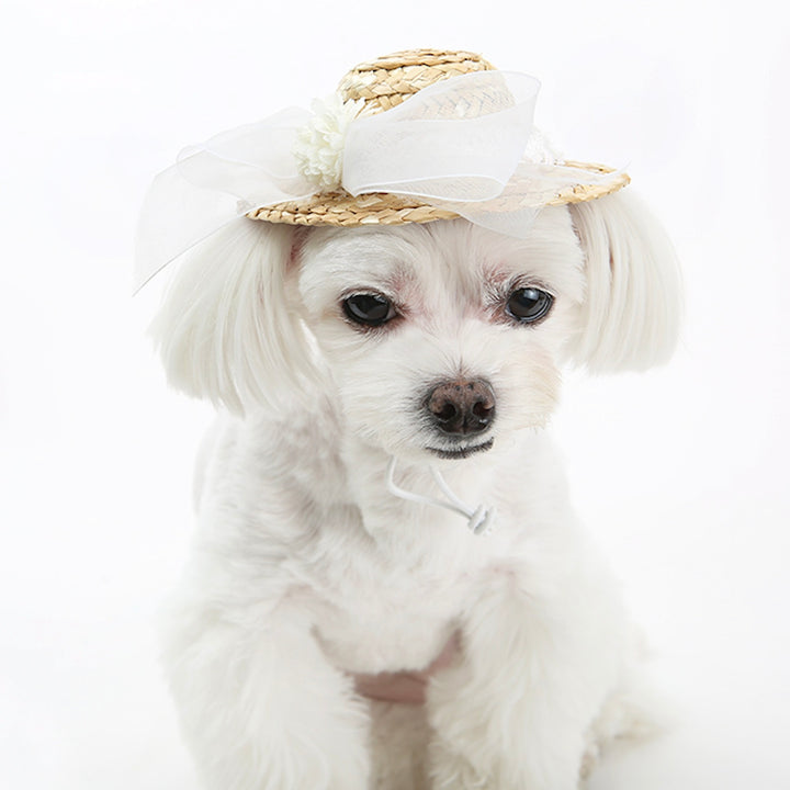 ※予約販売【ITS DOG】Lady Straw Hat