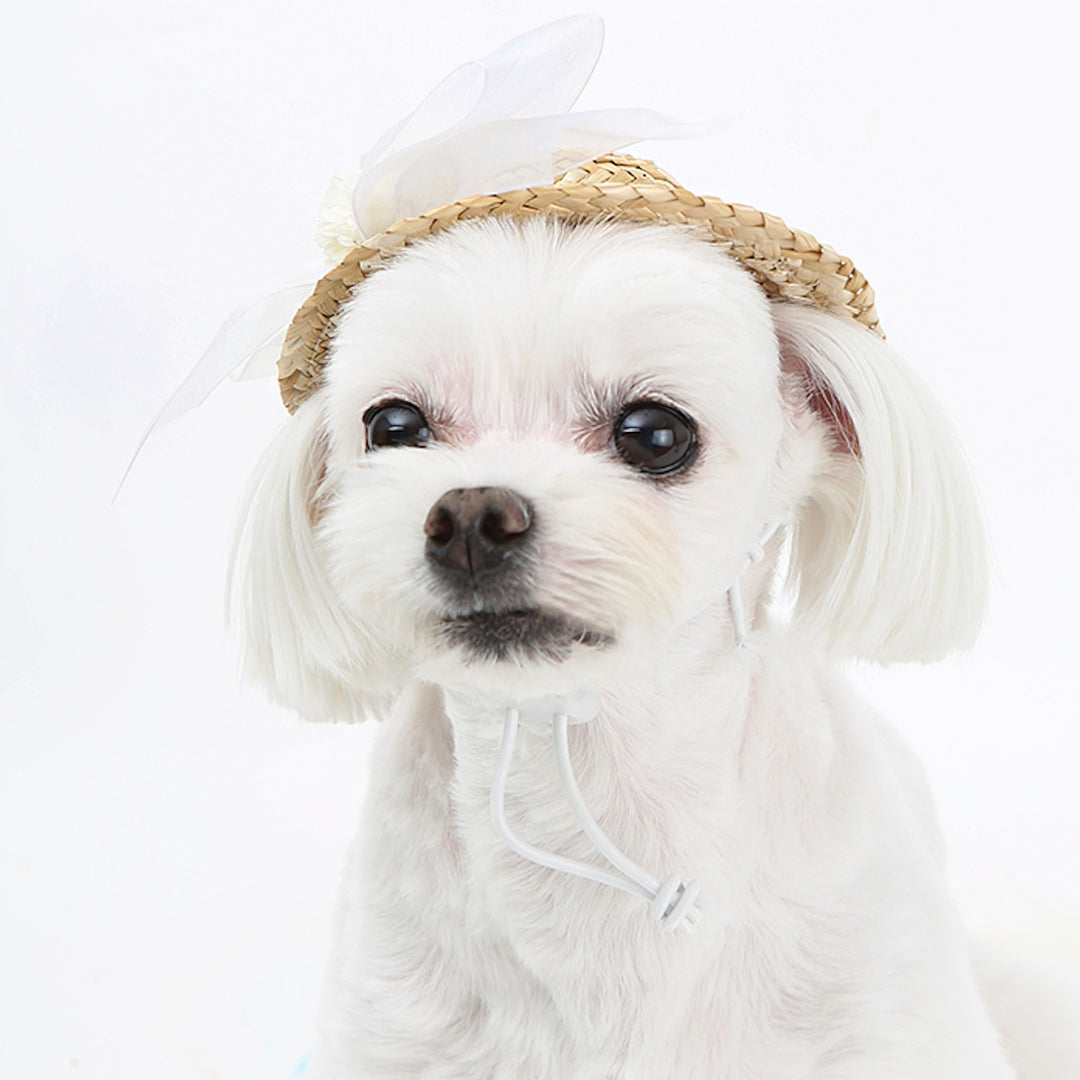 ※予約販売【ITS DOG】Lady Straw Hat