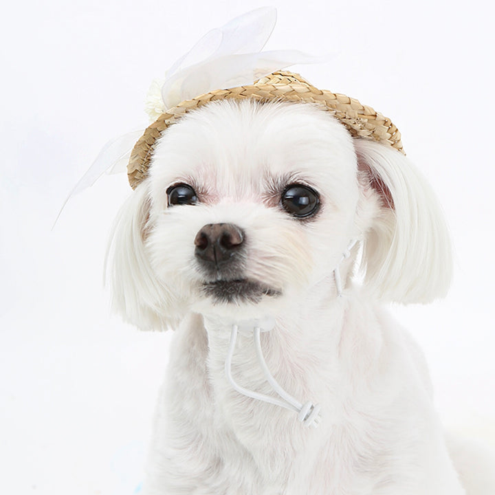 ※予約販売【ITS DOG】Lady Straw Hat