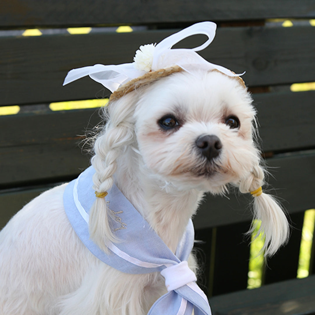 ※予約販売【ITS DOG】Lady Straw Hat