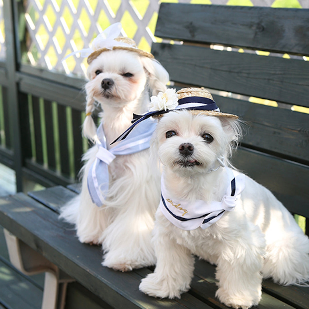 ※予約販売【ITS DOG】Lady Straw Hat