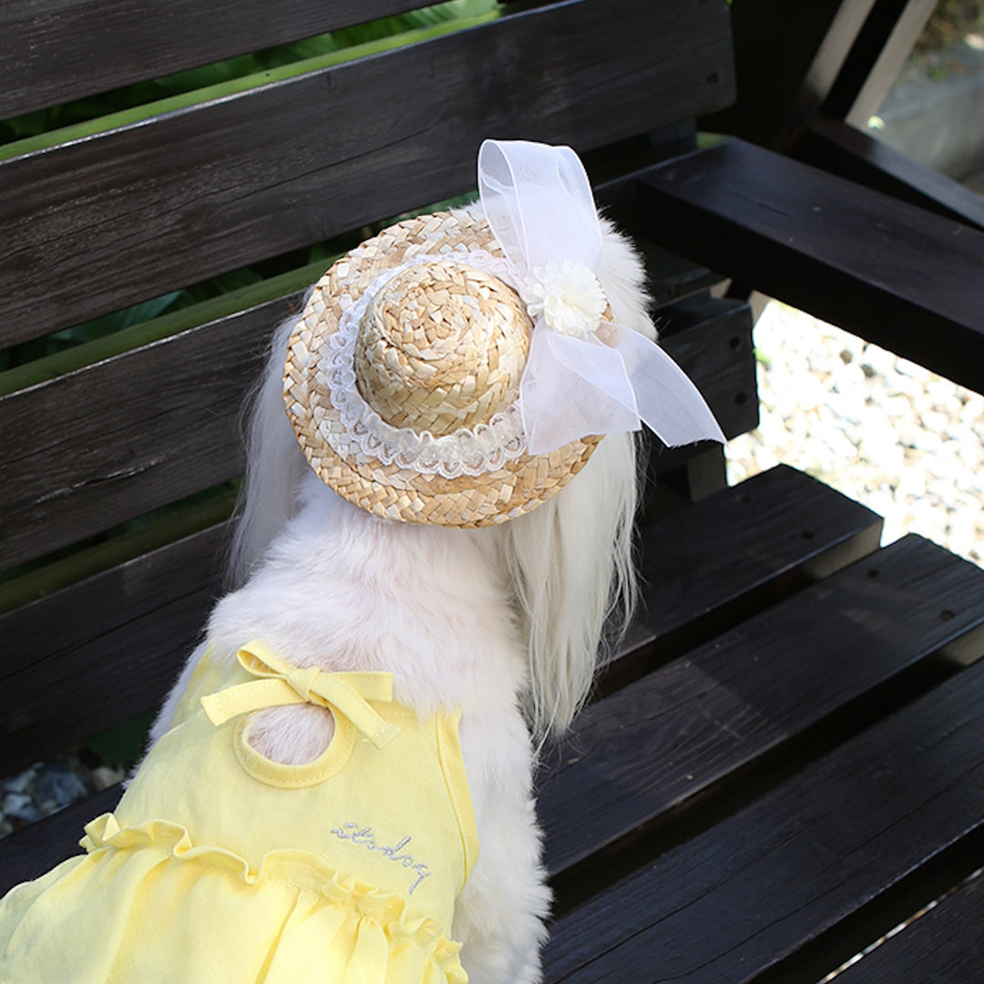 ※予約販売【ITS DOG】Lady Straw Hat