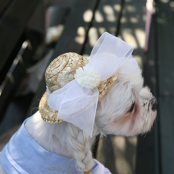 ※予約販売【ITS DOG】Lady Straw Hat