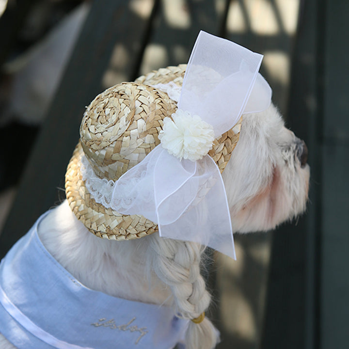 ※予約販売【ITS DOG】Lady Straw Hat