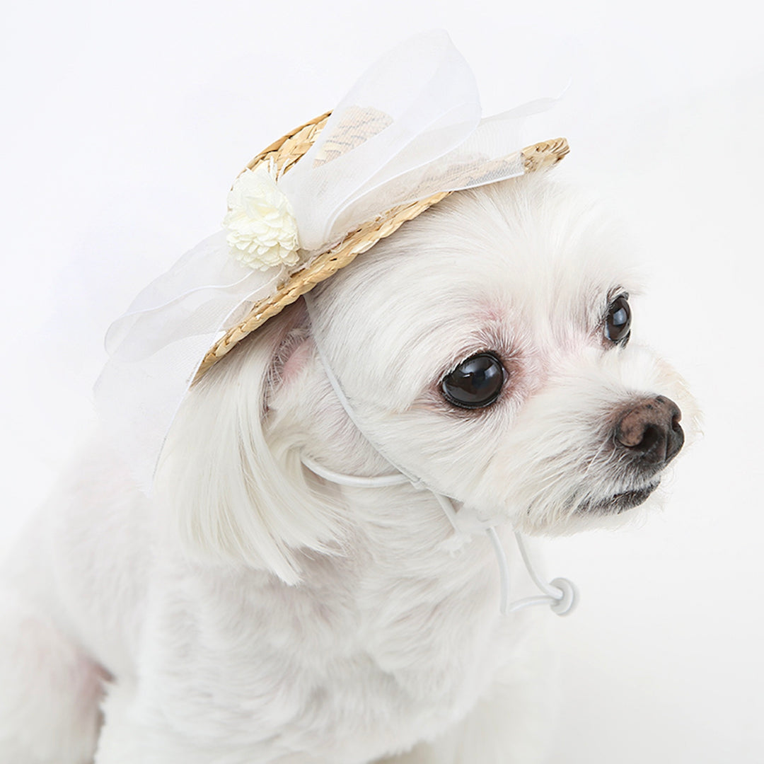 ※予約販売【ITS DOG】Lady Straw Hat