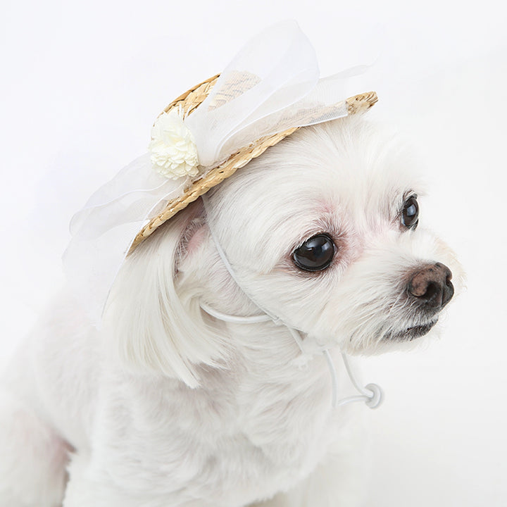 ※予約販売【ITS DOG】Lady Straw Hat