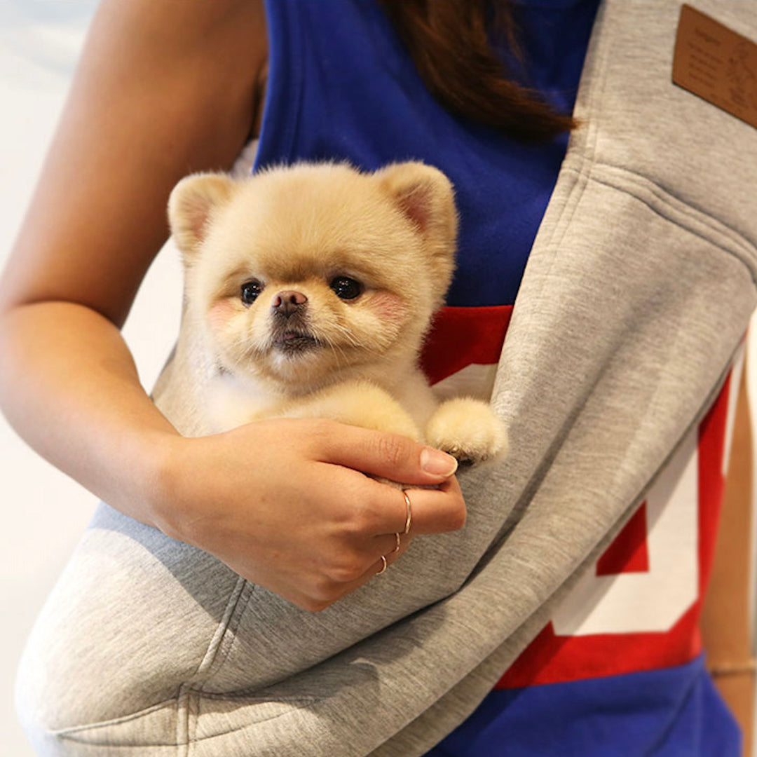 ※予約販売【ITS DOG】Kangaroo Sling Bag（Light gray）｜犬用バッグ