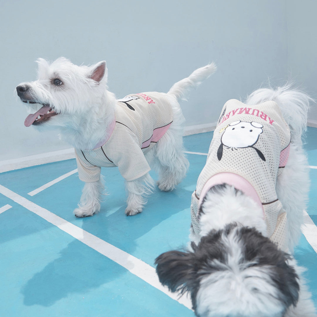※予約販売【ARUMARU】POCCHACCO × ARUMARU Pet Football Jersey（Sand）