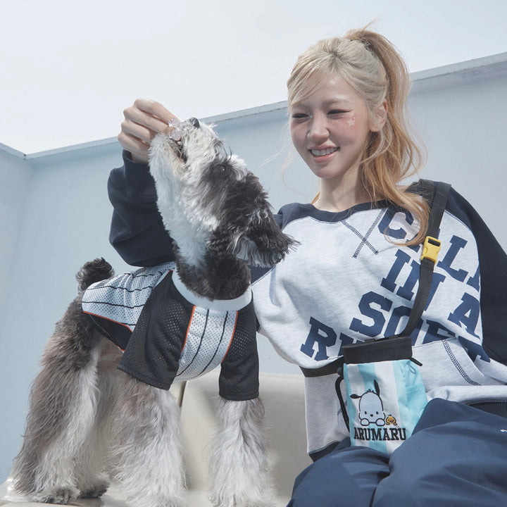 ※予約販売【ARUMARU】POCCHACCO × ARUMARU Pet Football Jersey（Black）