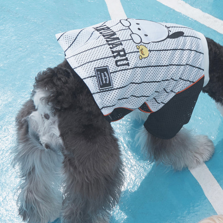 ※予約販売【ARUMARU】POCCHACCO × ARUMARU Pet Football Jersey（Black）