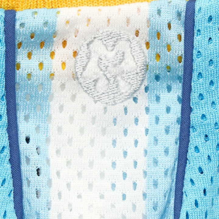 ※予約販売【ARUMARU】POCCHACCO × ARUMARU Pet Football Jersey（Blue）