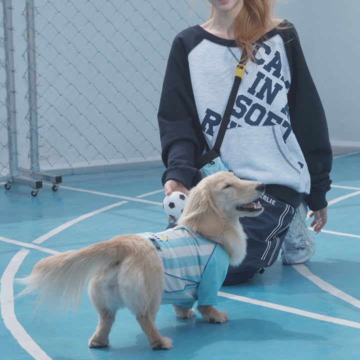 ※予約販売【ARUMARU】POCCHACCO × ARUMARU Pet Football Jersey（Blue）