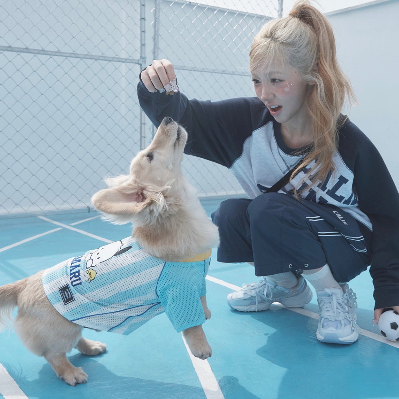 海外犬服 高品質なインポートのドッグウェア通販 
