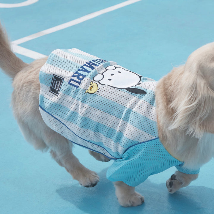 ※予約販売【ARUMARU】POCCHACCO × ARUMARU Pet Football Jersey（Blue）