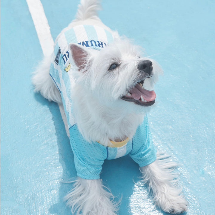 ※予約販売【ARUMARU】POCCHACCO × ARUMARU Pet Football Jersey（Blue）