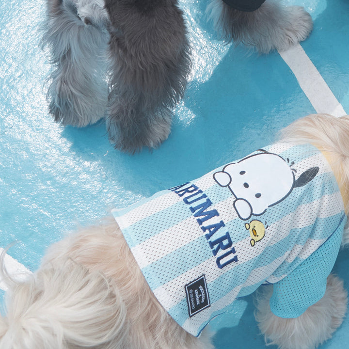 ※予約販売【ARUMARU】POCCHACCO × ARUMARU Pet Football Jersey（Blue）