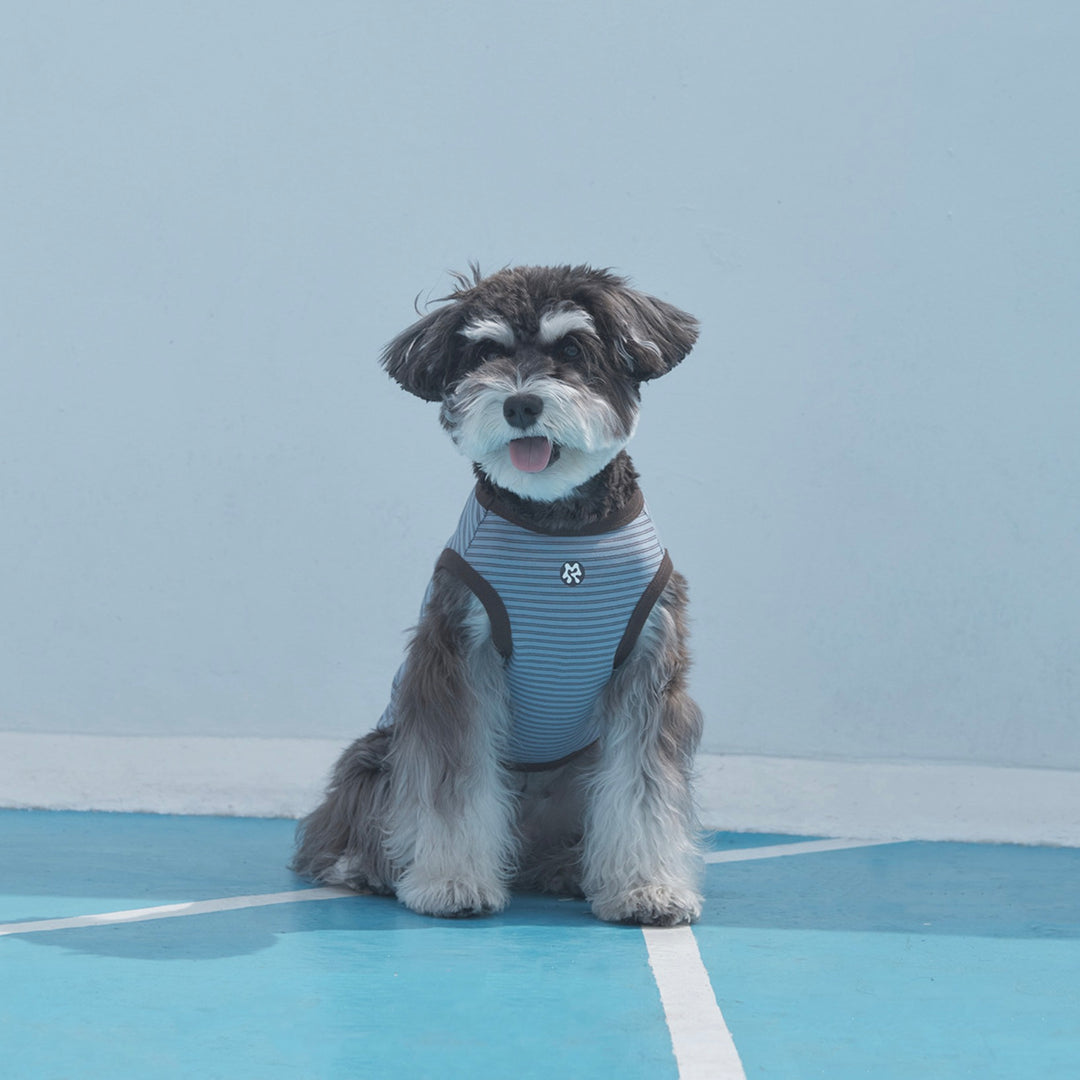 ※予約販売【ARUMARU】POCCHACCO × ARUMARU Pet Sleeveless（Blue）
