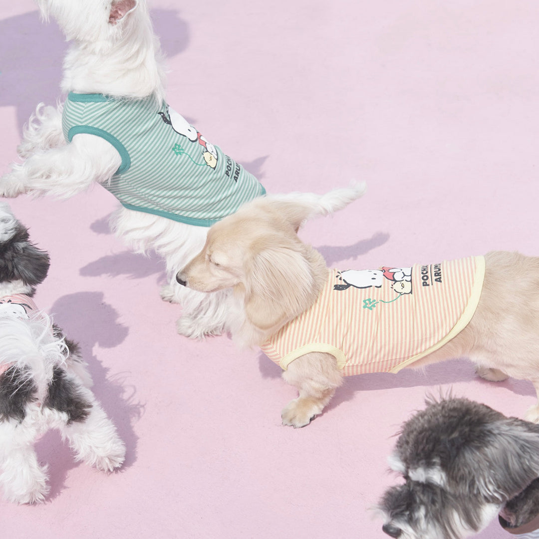 ※予約販売【ARUMARU】POCCHACCO × ARUMARU Pet Sleeveless（Green）