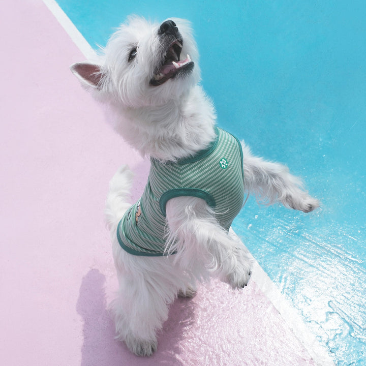 ※予約販売【ARUMARU】POCCHACCO × ARUMARU Pet Sleeveless（Green）