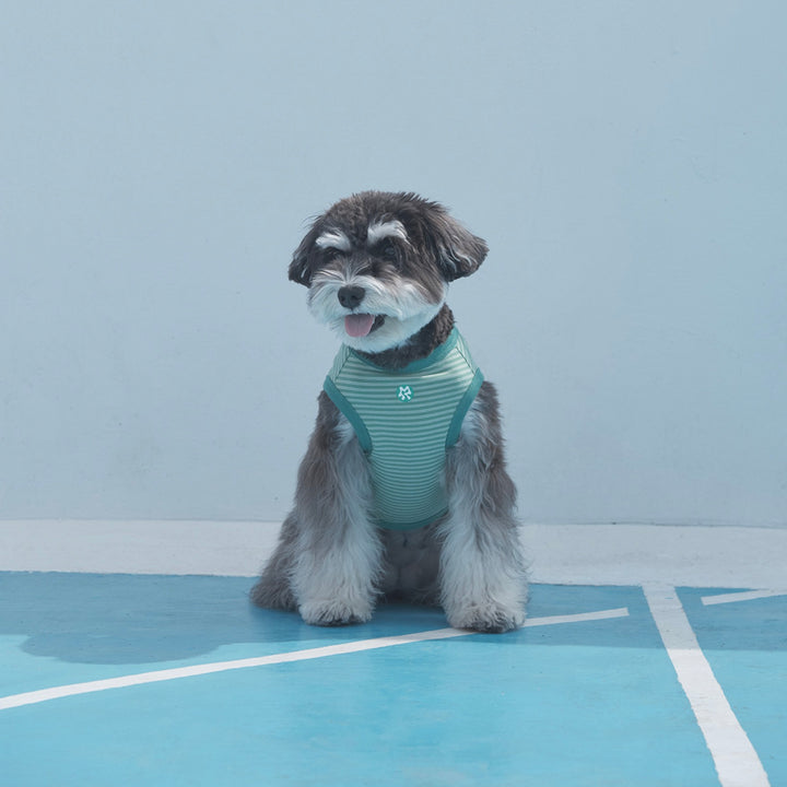 ※予約販売【ARUMARU】POCCHACCO × ARUMARU Pet Sleeveless（Green）