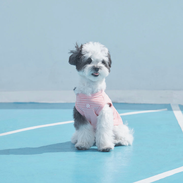 ※予約販売【ARUMARU】POCCHACCO × ARUMARU Pet Sleeveless（Pink）