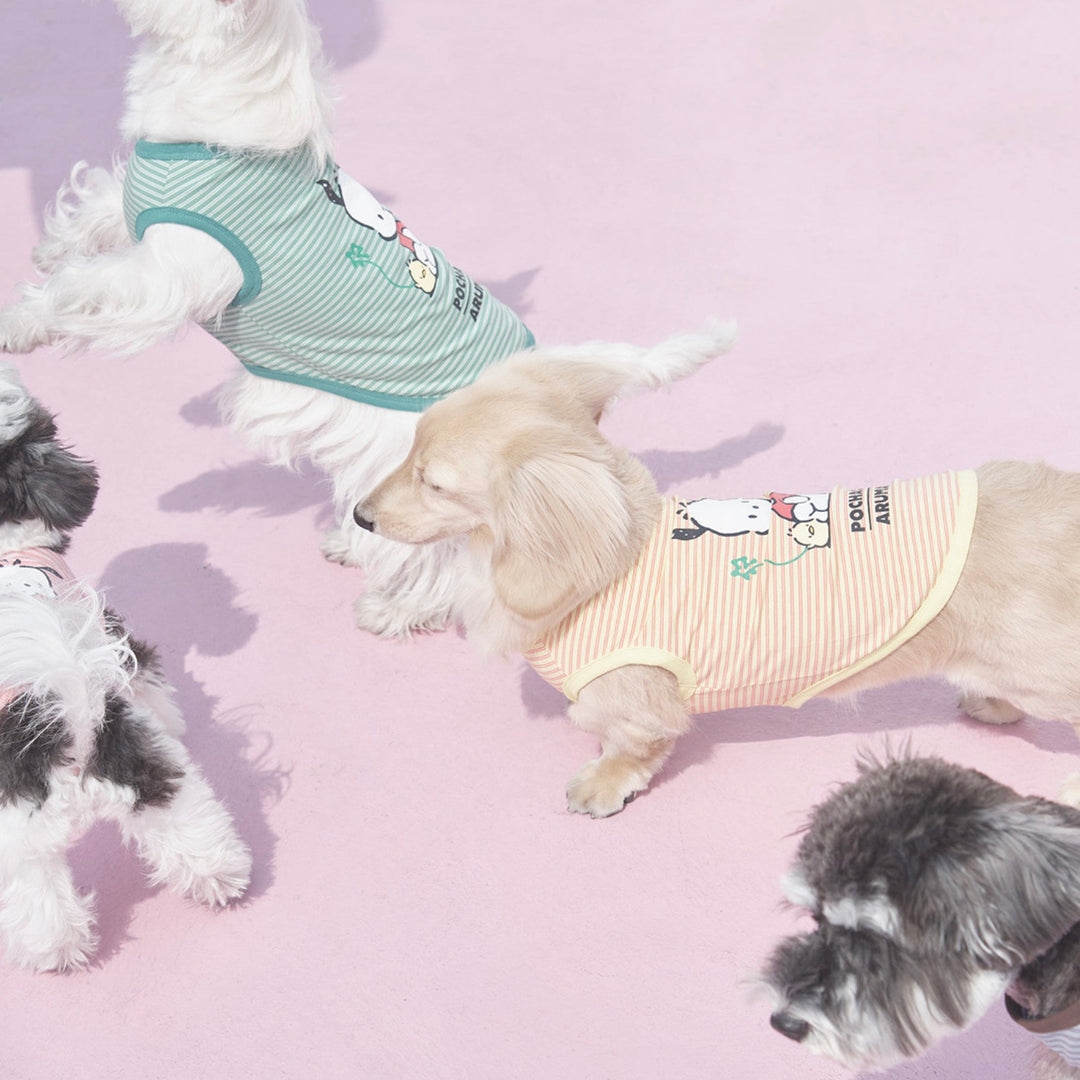 ※予約販売【ARUMARU】POCCHACCO × ARUMARU Pet Sleeveless（Yellow）