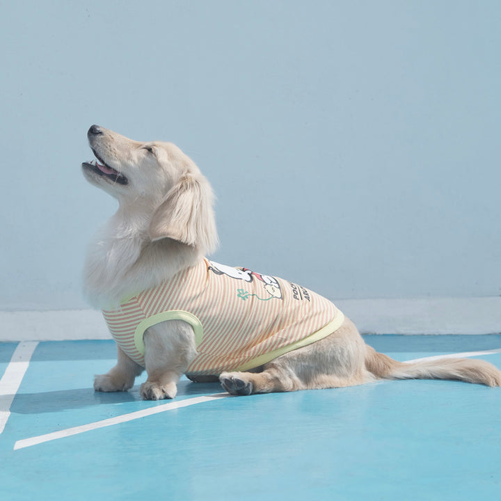 ※予約販売【ARUMARU】POCCHACCO × ARUMARU Pet Sleeveless（Yellow）