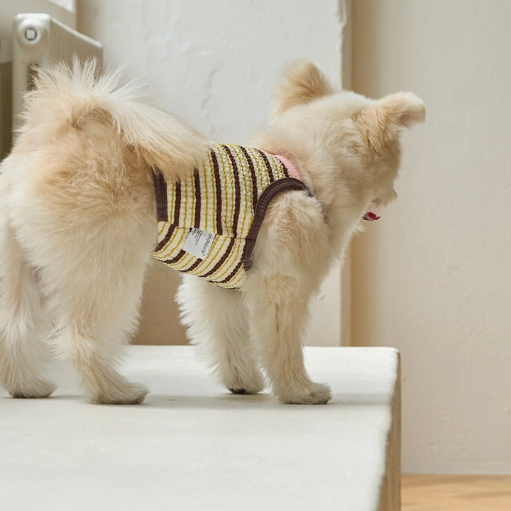 ※予約販売【andblank】A Stitch Stripe Crop Top（Brown）