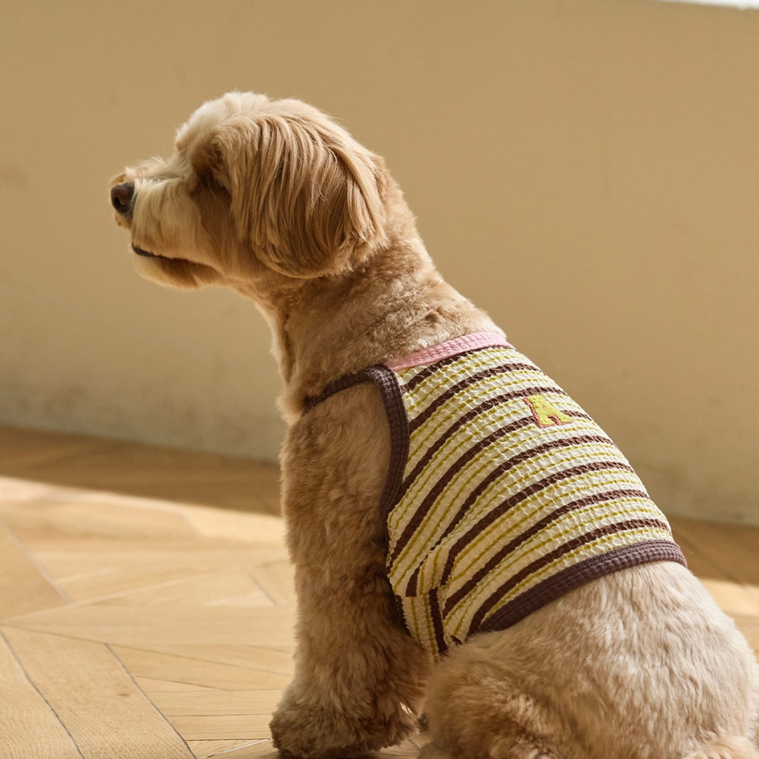 ※予約販売【andblank】A Stitch Stripe Crop Top（Brown）