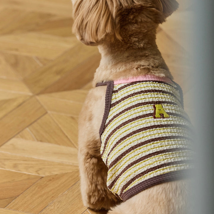 ※予約販売【andblank】A Stitch Stripe Crop Top（Brown）