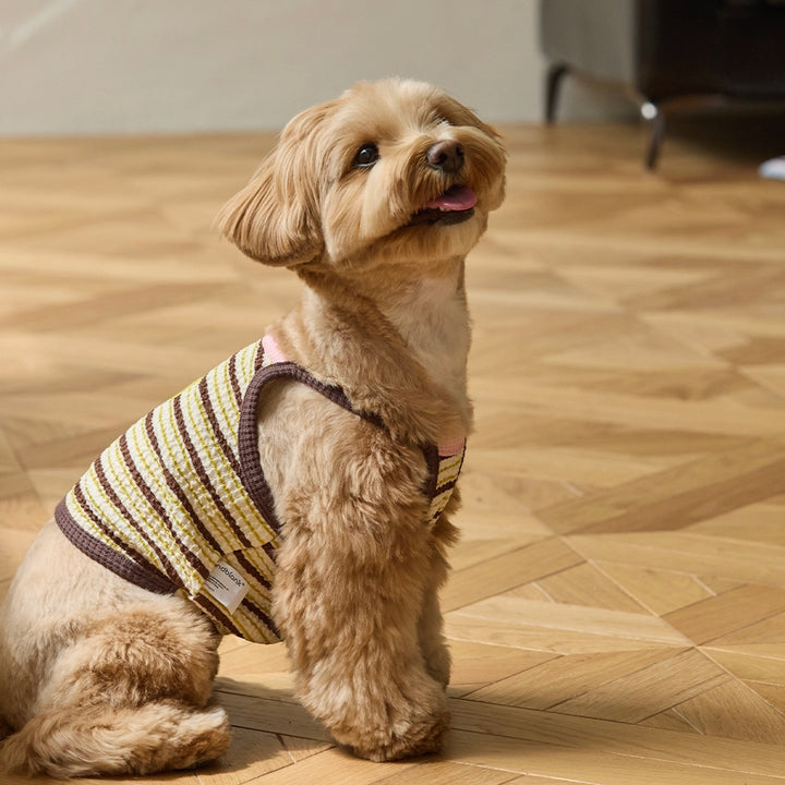 ※予約販売【andblank】A Stitch Stripe Crop Top（Brown）