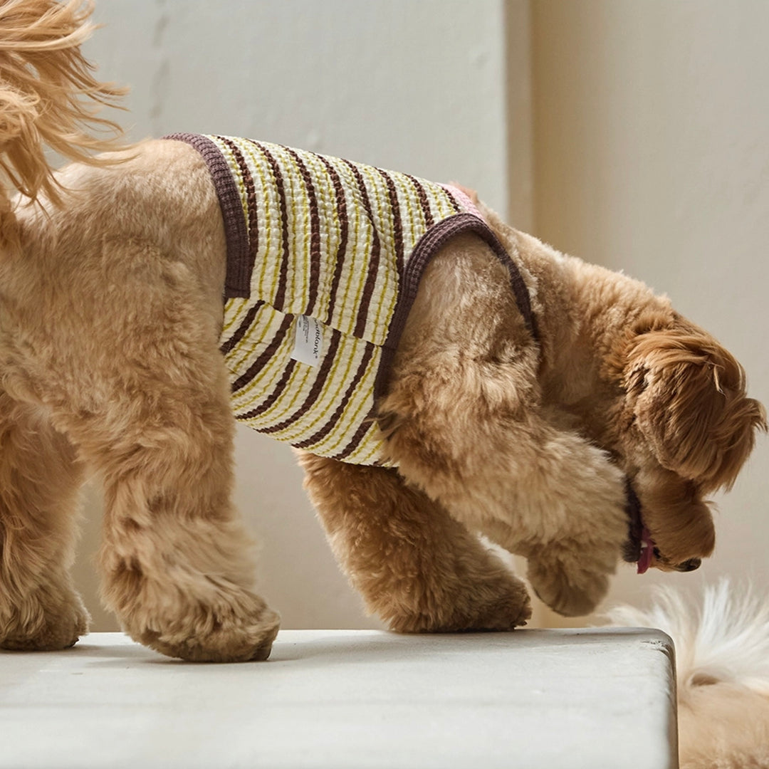 ※予約販売【andblank】A Stitch Stripe Crop Top（Brown）
