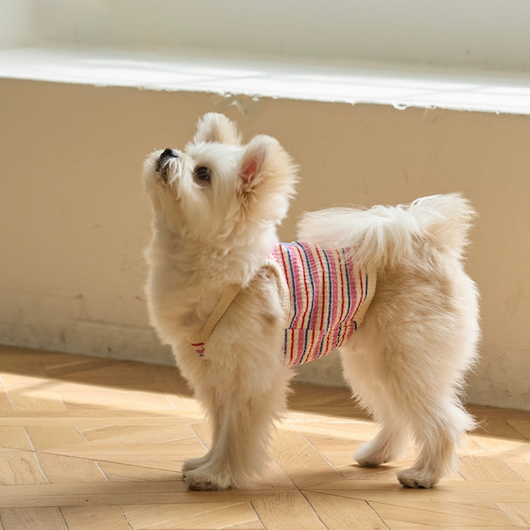※予約販売【andblank】A Stitch Stripe Crop Top（Pink）