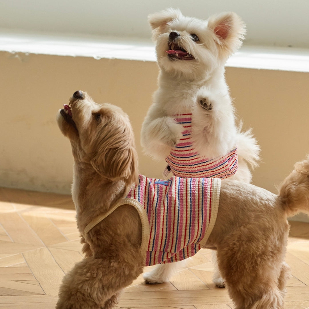 ※予約販売【andblank】A Stitch Stripe Crop Top（Pink）