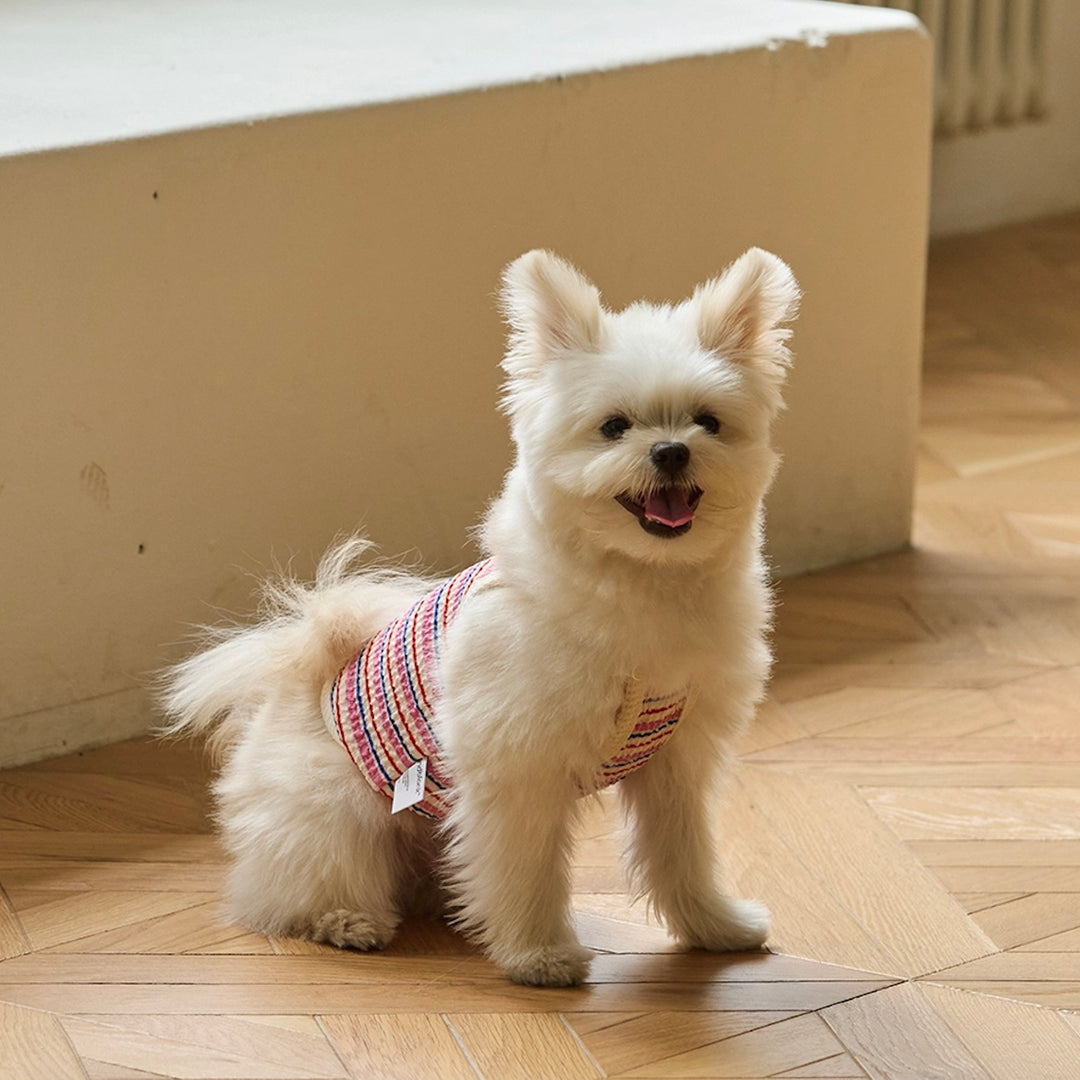 ※予約販売【andblank】A Stitch Stripe Crop Top（Pink）