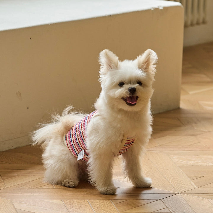 ※予約販売【andblank】A Stitch Stripe Crop Top（Pink）
