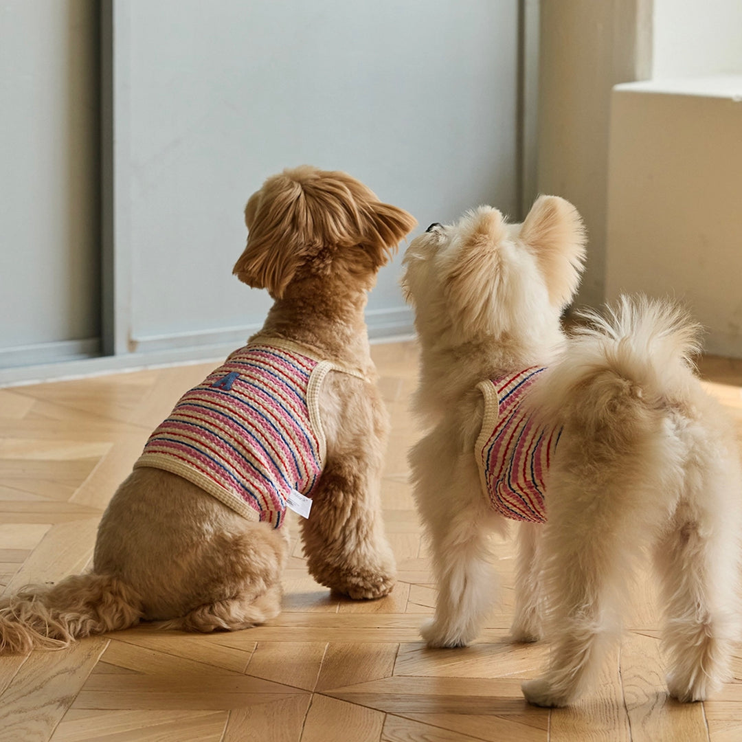 ※予約販売【andblank】A Stitch Stripe Crop Top（Pink）